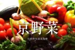 蔬菜中的名牌 京都的招牌京野菜