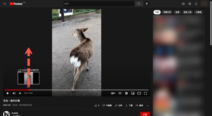YouTube Premium 實驗室新功能「輕鬆尋找特定的影片片段」