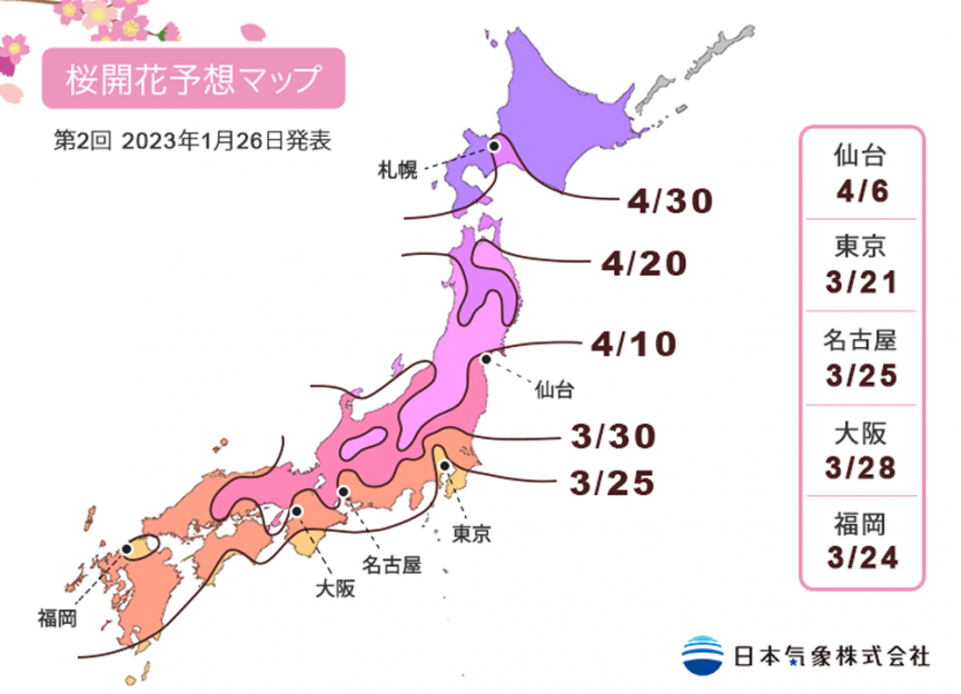 2023年日本櫻花預測開花及滿開資訊