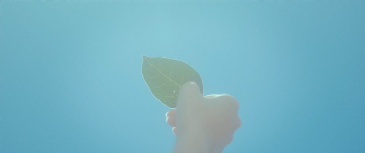 乃木坂46 第33張單曲收錄曲 公開五期生「考えないようにする」MV