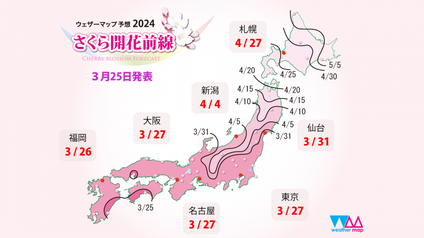 【3/28更新】2024年日本櫻花預測開花及滿開最新資訊