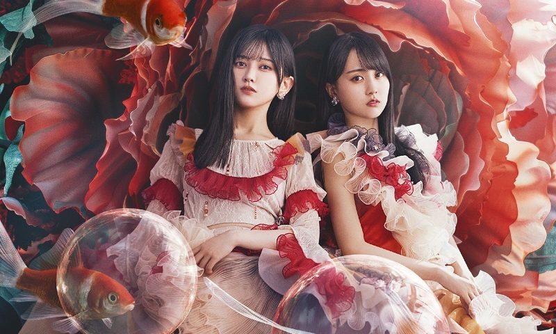來源／乃木坂46官網