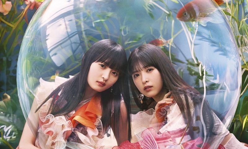 來源／乃木坂46官網