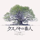 東野圭吾小說作品《祈念之樹》宣布改編為動畫電影 預計日本2026年上映