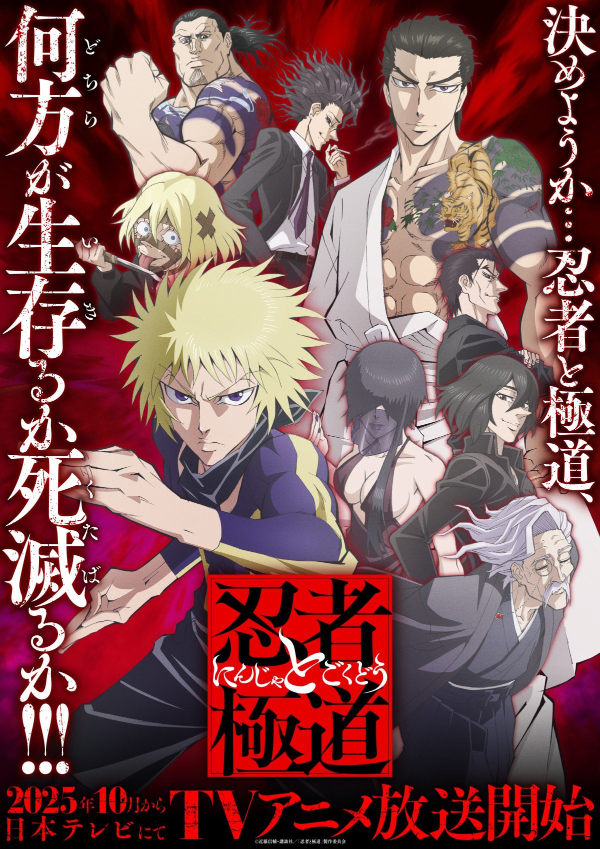 來源／TVアニメ『忍者と極道』公式-X