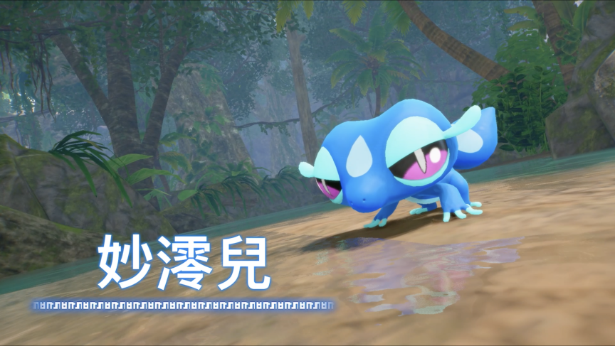 寶可夢 風與波 Pokémon Winds and Waves 寶可夢新作 2027 Nintendo Switch 2 寶可夢 寶可夢全新御三家